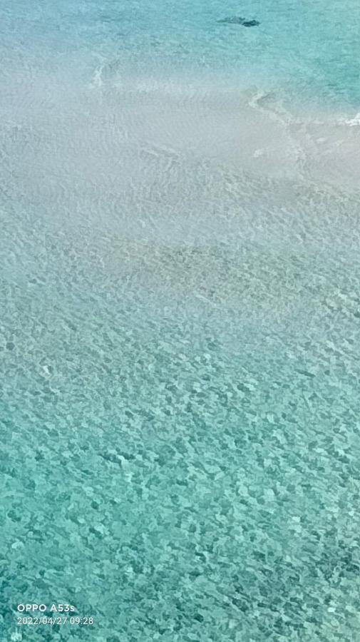 شقة Acquario ليدو ماريني المظهر الخارجي الصورة